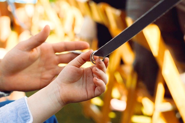 Ring Warming symbolic ritual with wedding bands