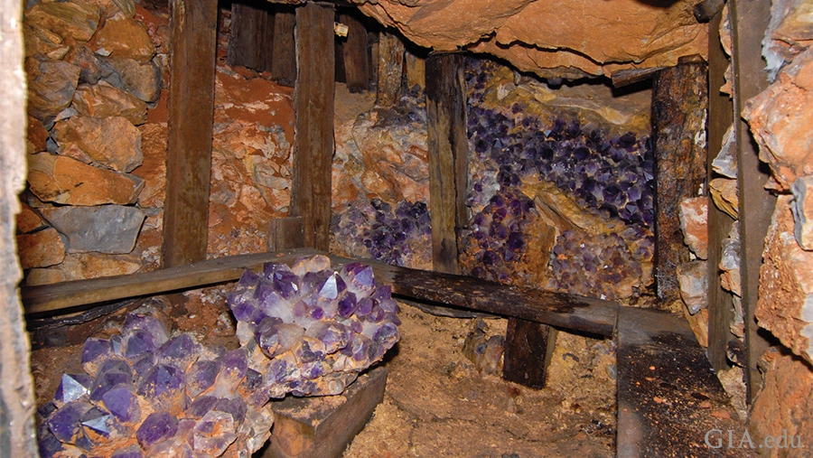 Cristalli di ametista viola visibili in una cavità rocciosa, ancora inseriti nella matrice naturale.