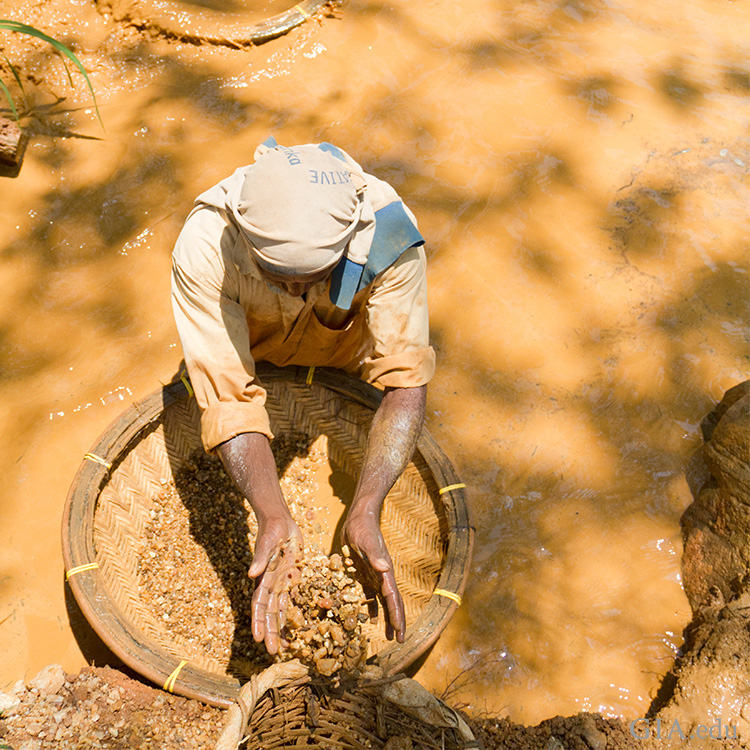 Ricerca di zaffiri in Sri Lanka