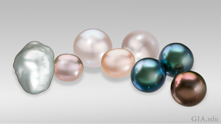 Perle coltivate in varie forme colori e dimensioni